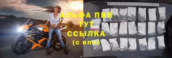 дмт Ладушкин