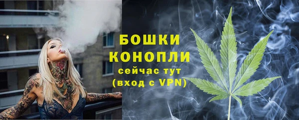 дмт Ладушкин