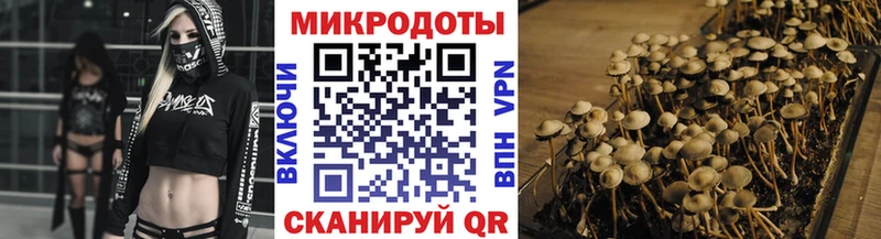 Купить где  Петровск  Галлюциногенные грибы мицелий 
